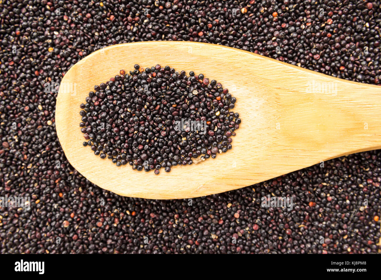 Chenopodium quinoa is scientific name of Black Quinoa seed. Grains in wooden spoon. Close up