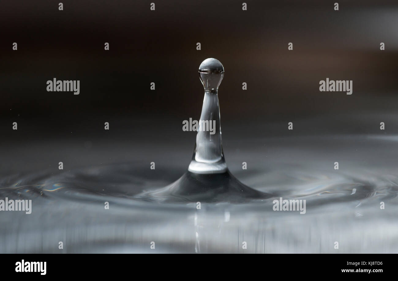 Water drops close up. Macro shot drops Stock Photo - Alamy