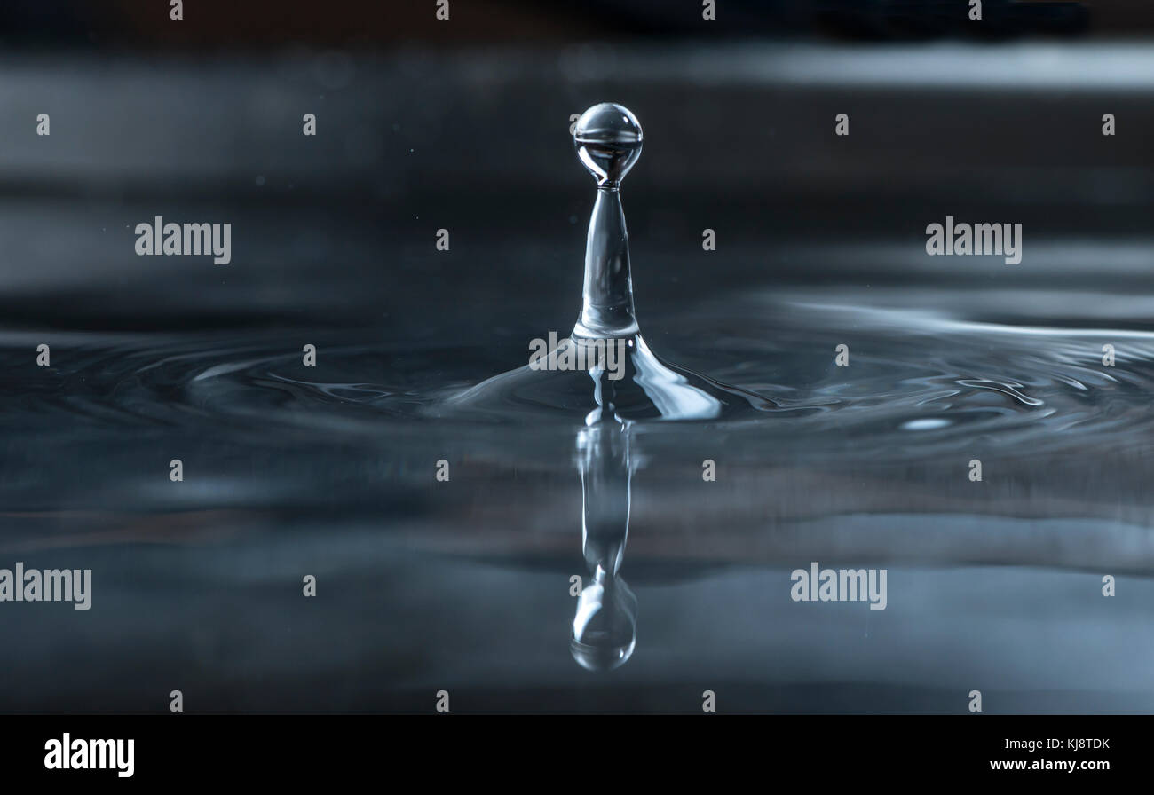 Water drops close up. Macro shot drops Stock Photo - Alamy