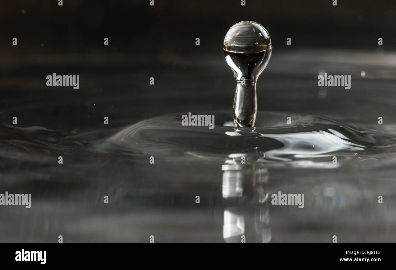 Water drops close up. Macro shot drops Stock Photo - Alamy