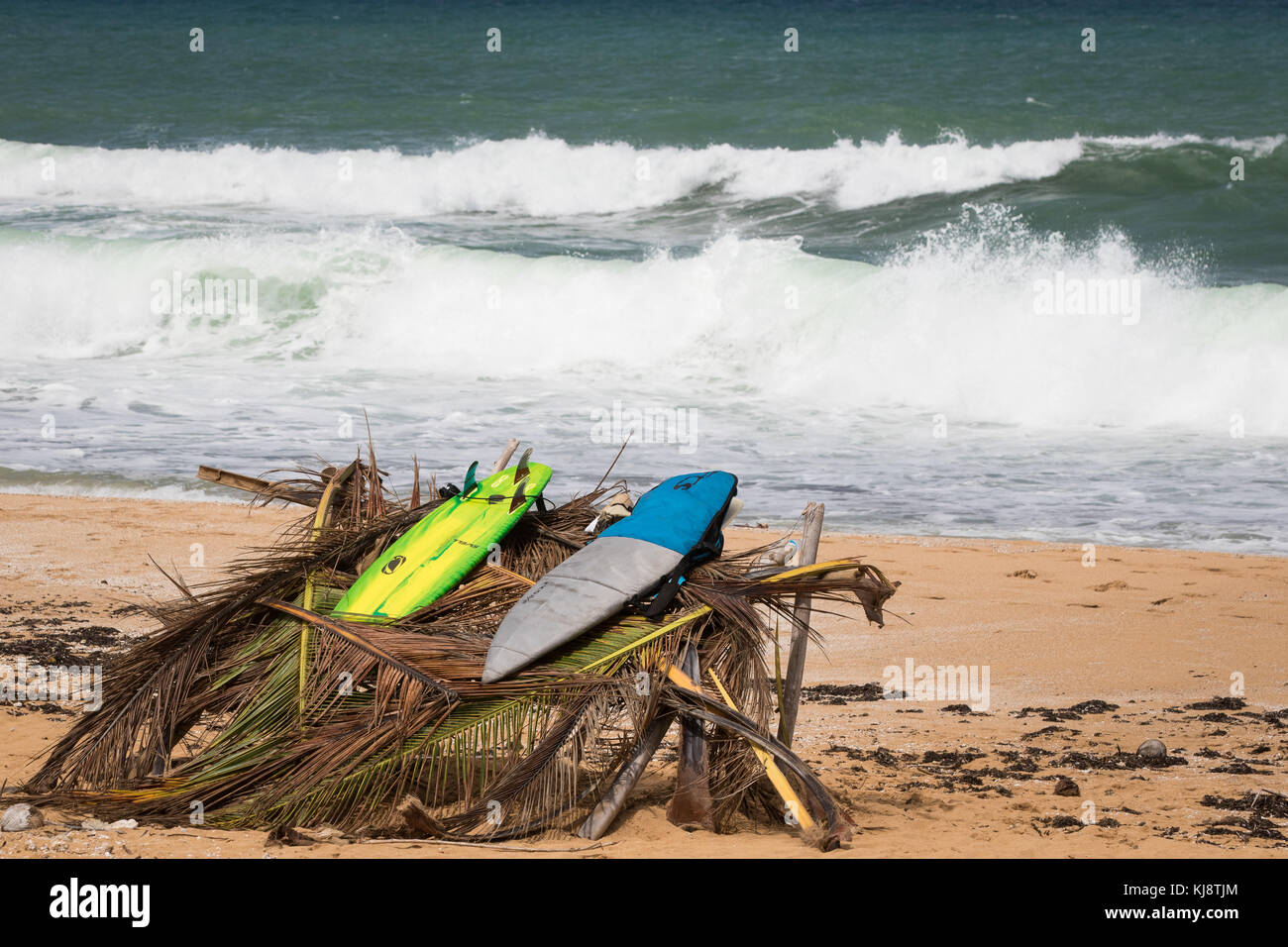 Surf boards sit ready for use during their La Comprita charitable surf competition in Aviones, Puerto Rico, Nov. 11, 2017. The Stock Photo