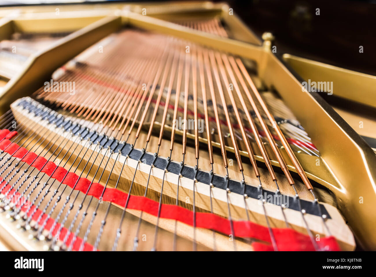 Lines of coiled bass strings inside grand piano Stock Photo