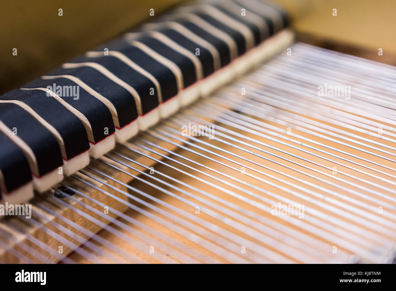 Black string dampeners inside grand piano Stock Photo