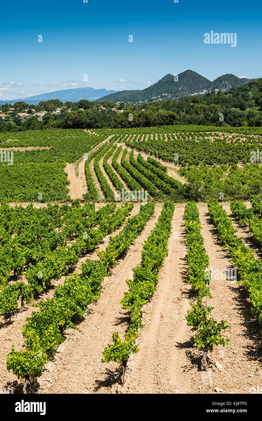 Vineyard landscape near of the Gigondas, France, Europe. Stock Photo