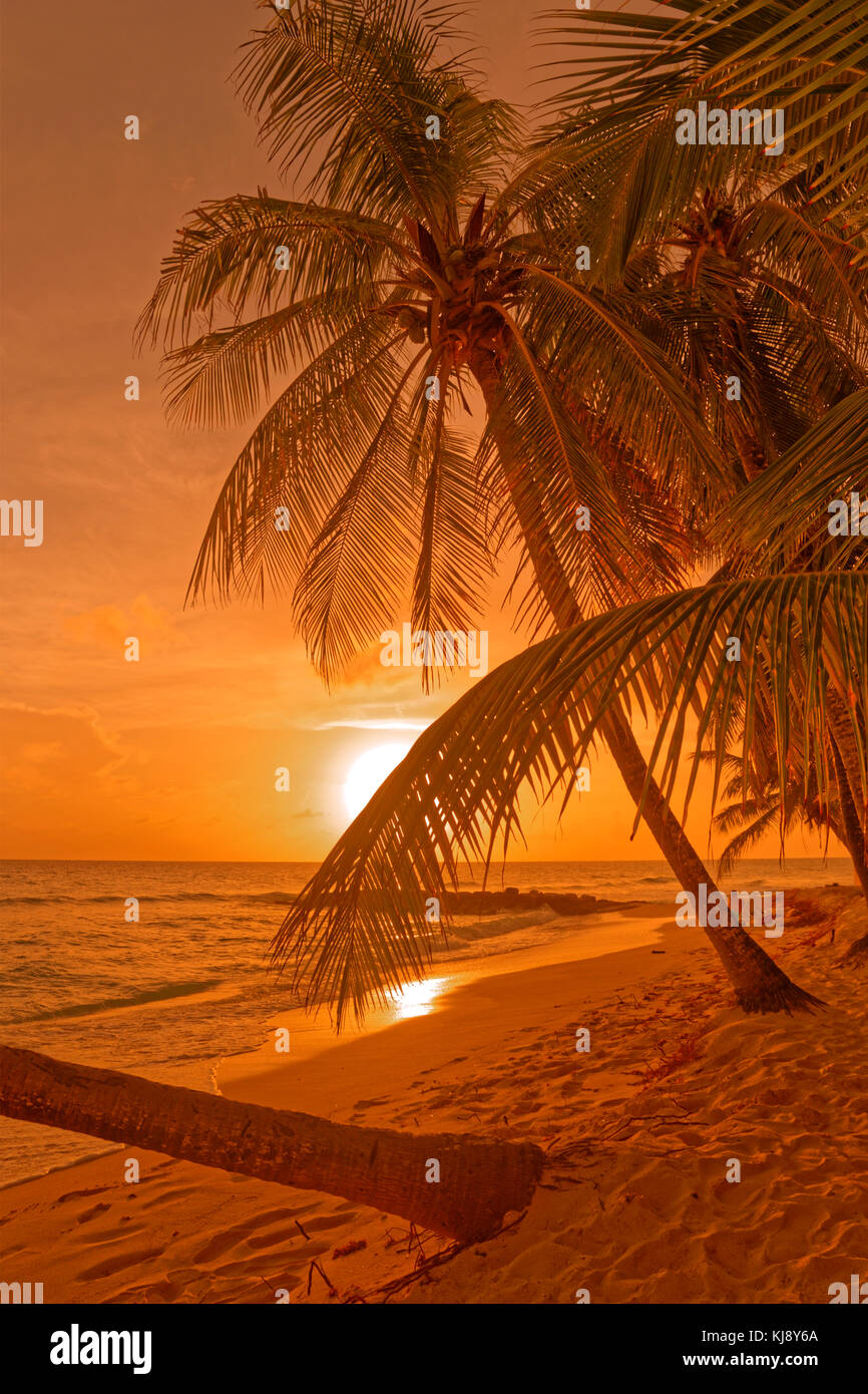 Sunset at Dover Beach, St. Lawrence Gap, South Coast, Barbados, Caribbean. Stock Photo