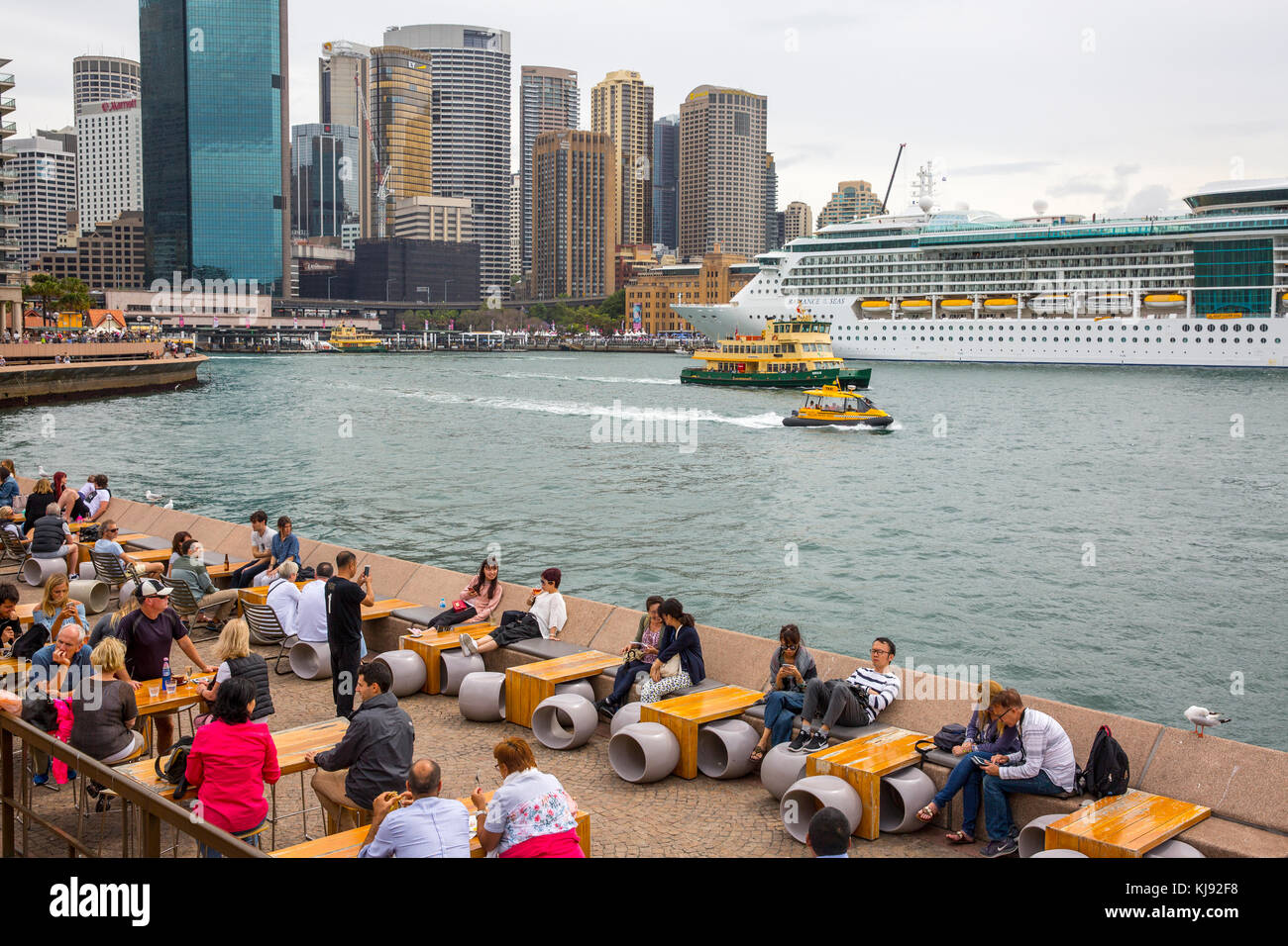 cruise bar at circular quay