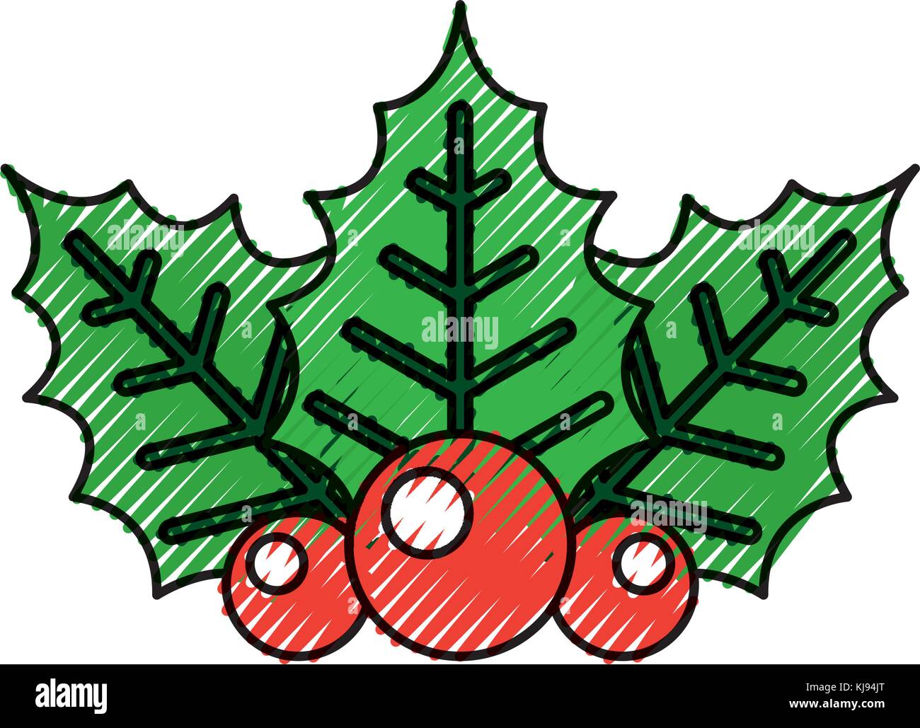 twig of christmas holly with leaves berries on white background Stock ...