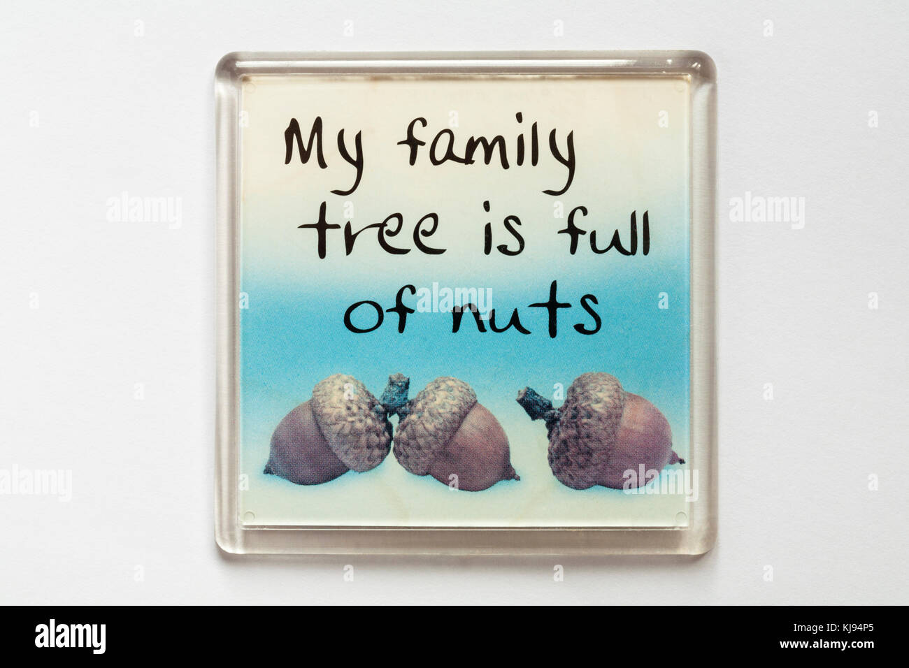 My family tree is full of nuts fridge magnet isolated on white background Stock Photo