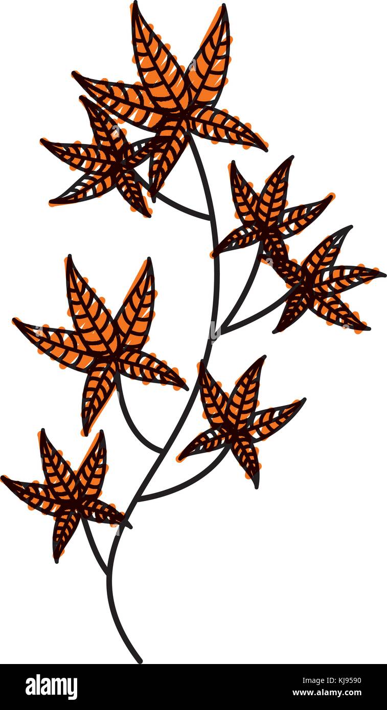 autumn tree branch leaves foliage botanical image Stock Vector Image ...
