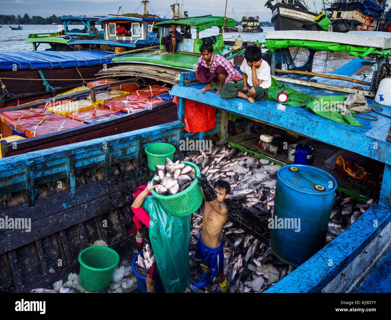 Yangon, Yangon Region, Myanmar. 23rd Nov, 2017. Workers unload fish