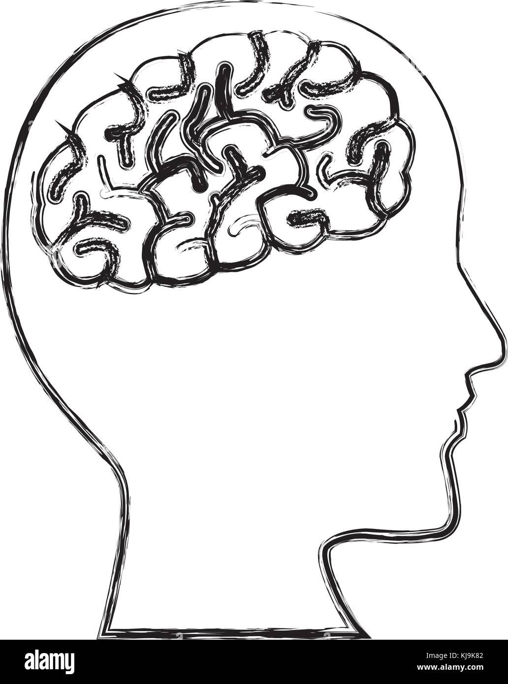 Human brain head silhouette Stock Vector Image & Art - Alamy