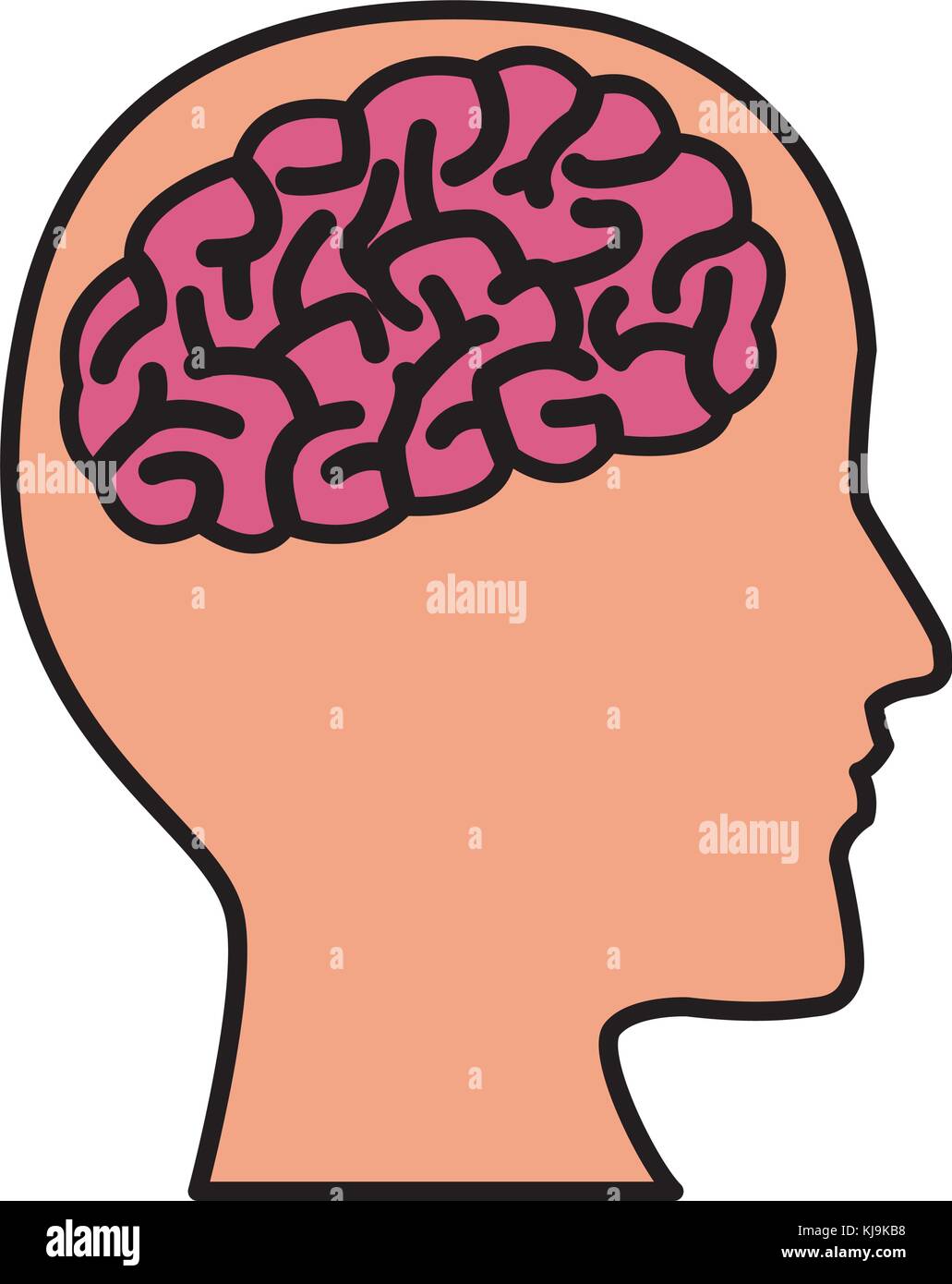 Human brain head silhouette Stock Vector Image & Art - Alamy