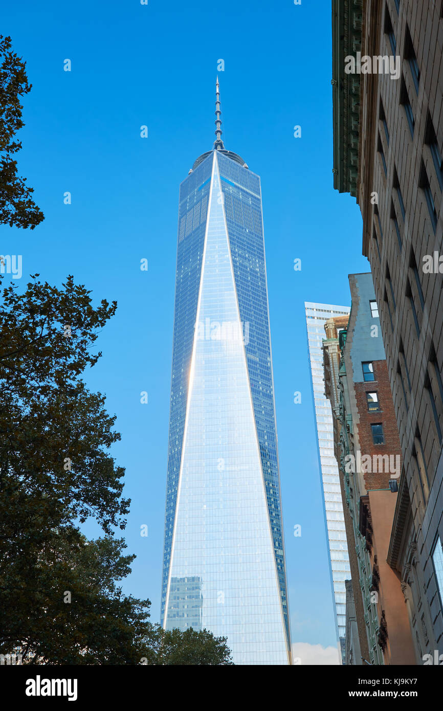 One World Trade Center skyscraper with buildings and tree, clear blue sky in a sunny day in New York Stock Photo