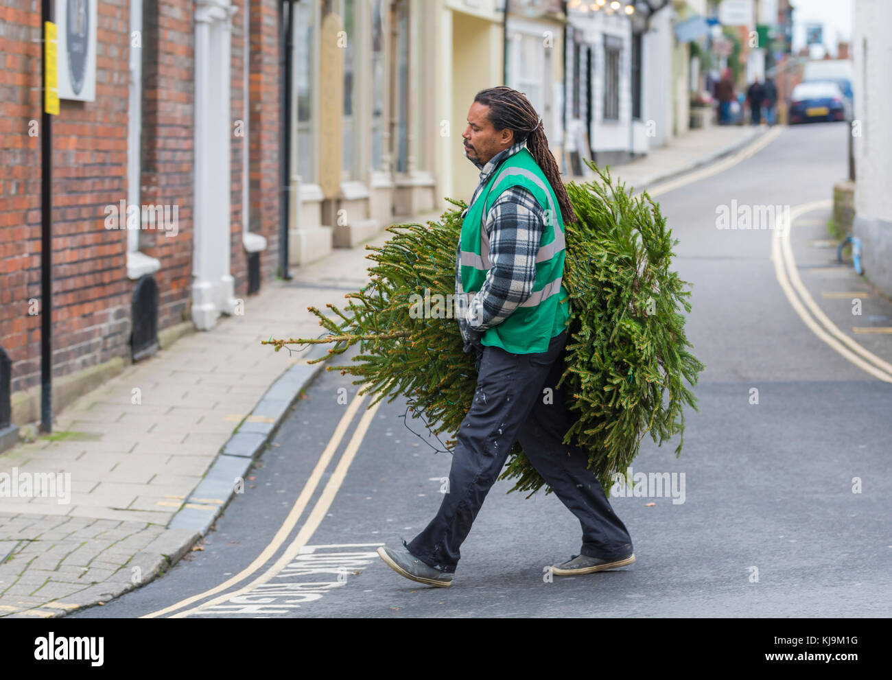 Man walking along carrying a Christmas tree in the UK. Stock Photo
