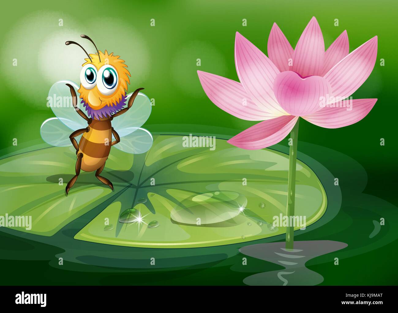 Illustration of a bee above a waterlily Stock Vector Image & Art - Alamy