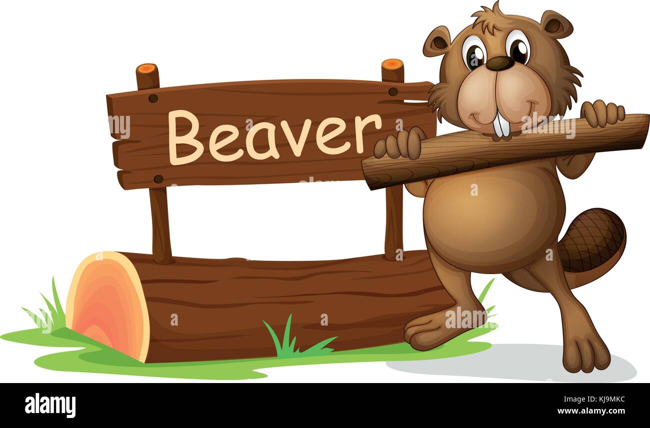 Illustration of a beaver beside the wooden signboard on a white ...
