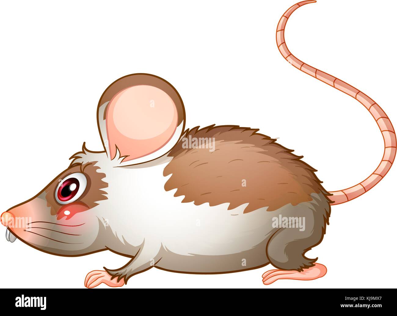 Illustration of the side view of a rat on a white background Stock