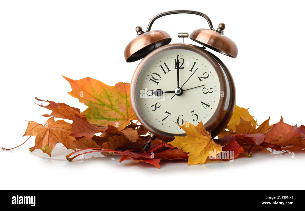 retro alarm clock in autumn leaves isolated on white background Stock Photo