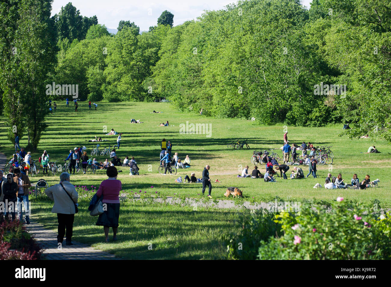 Parco Nord Milano is a metropolitan suburban park located on the northern outskirts of Milan. Classified as regional, it stretches between the towns of Milan, Bresso, Cusano Milanino, Cormano, Cinisello Balsamo, Sesto San Giovanni. Stock Photo
