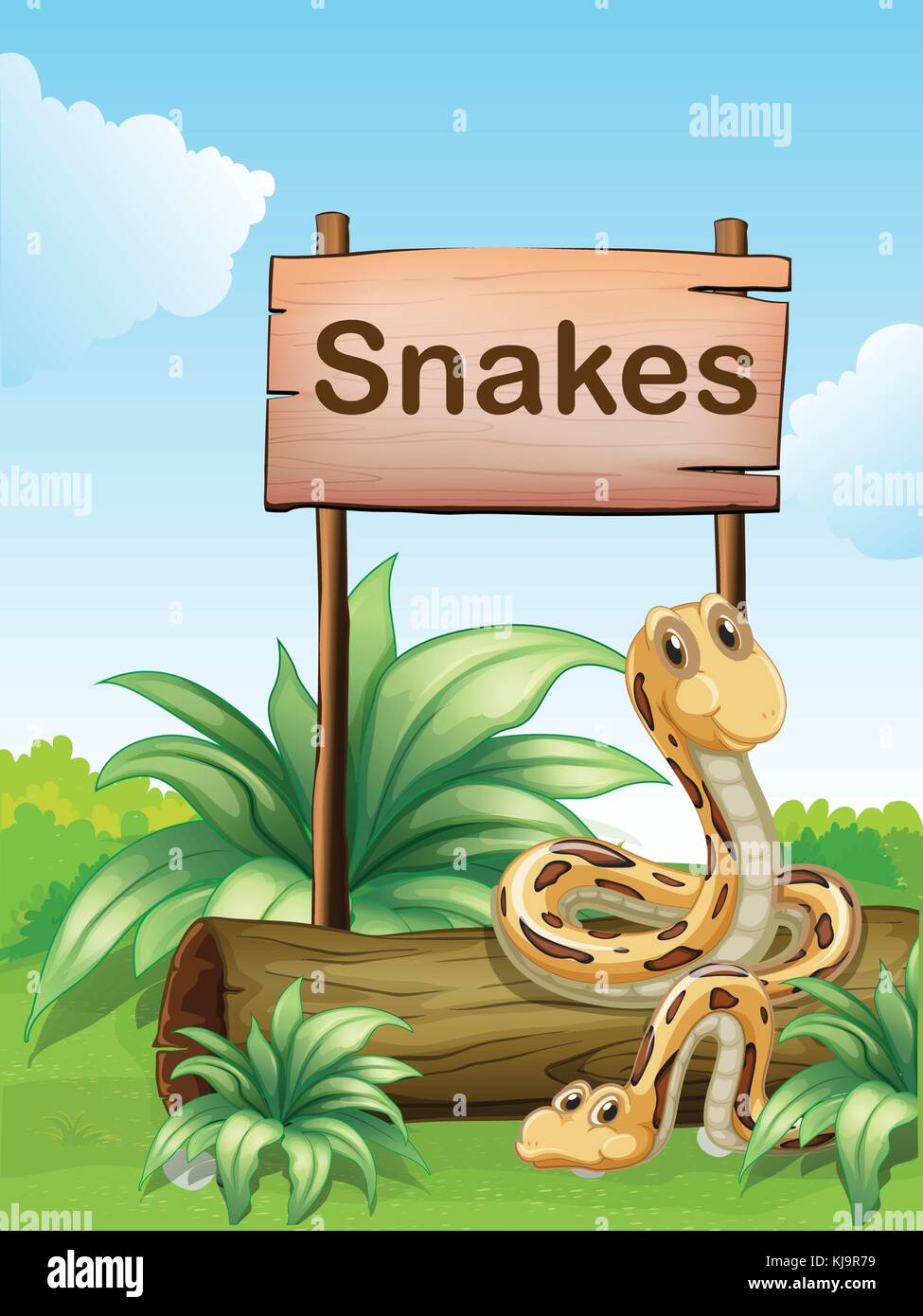 Illustration of the two snakes beside a wooden signboard Stock Vector