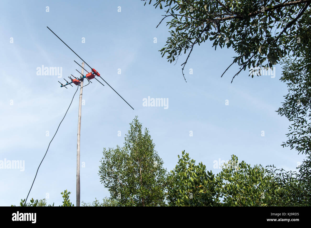 Fish bone antennas used by villages in rural Thailand Stock Photo Alamy
