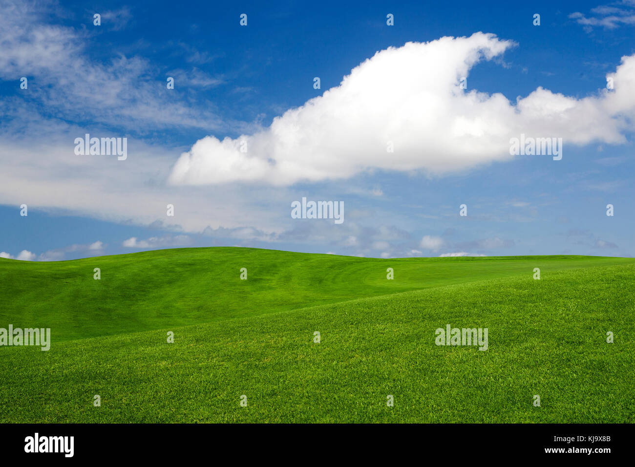 Beautiful landscape with an amazing blue sky and white clouds Stock ...