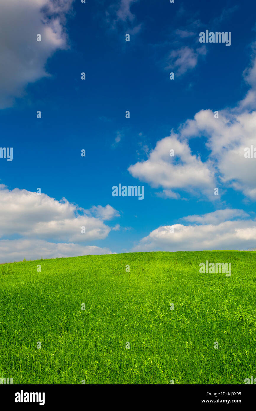 Beautiful landscape with an amazing blue sky and white clouds Stock ...