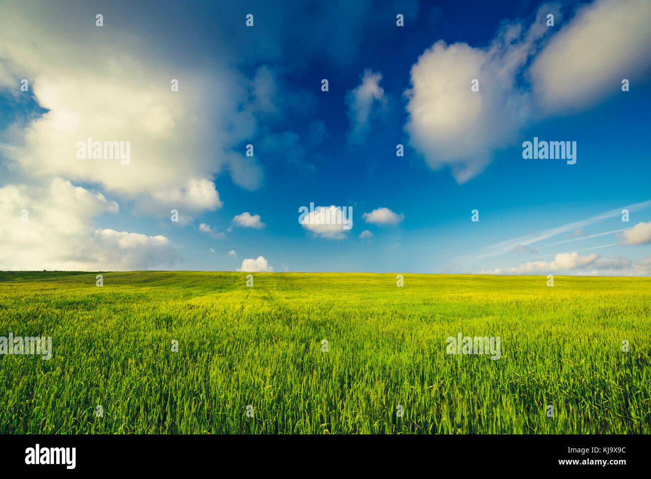 Beautiful landscape with an amazing blue sky and white clouds Stock ...