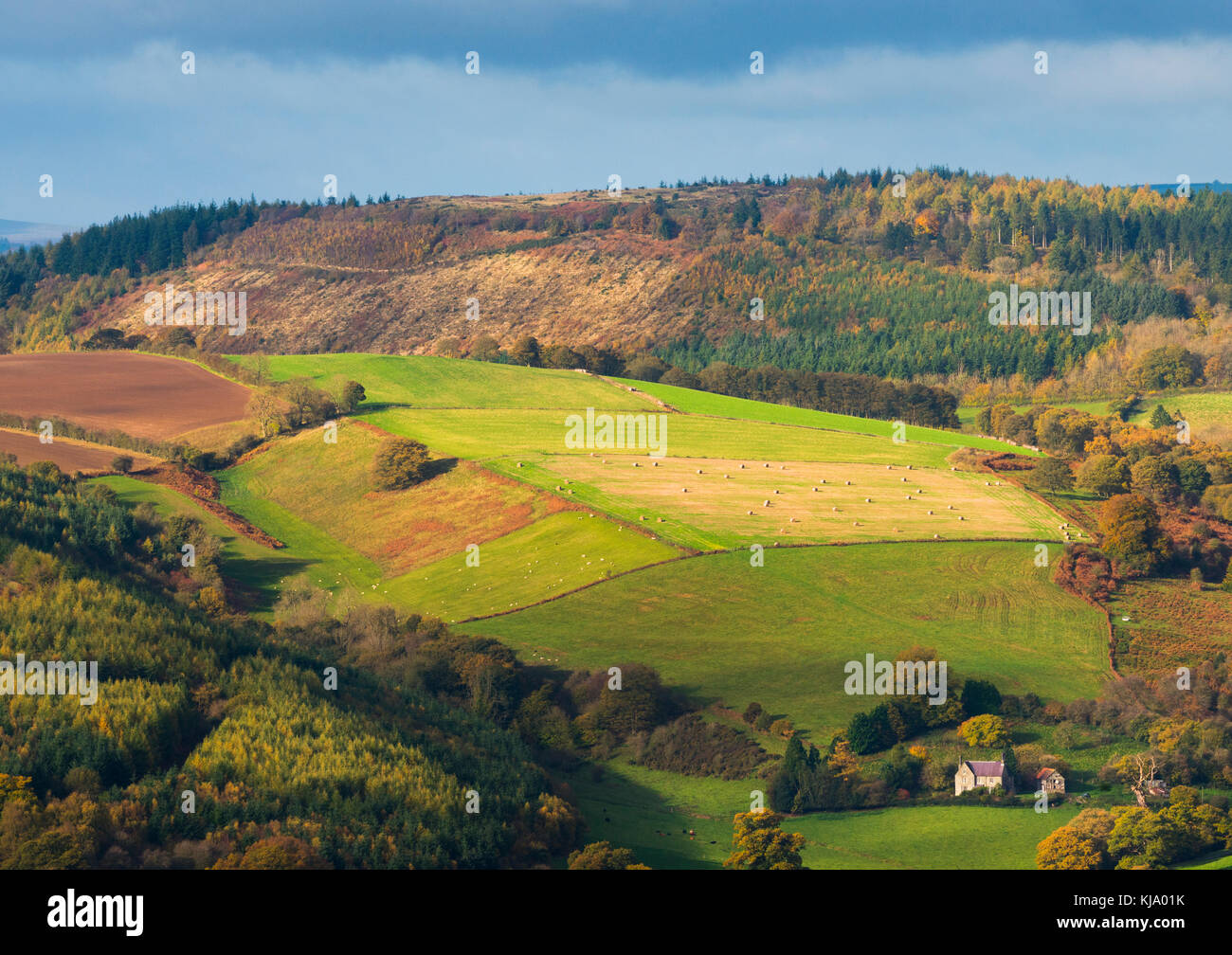 Bury Ditches Iron Age hill fort seen from Burrow Hill Iron Age Hill Fort, Shropshire. Stock Photo