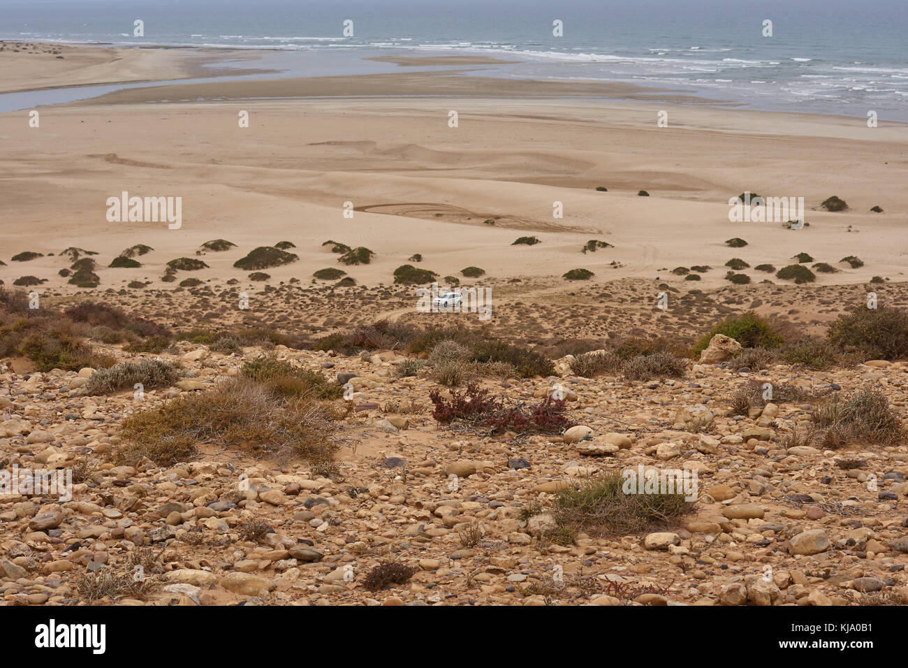 Tranquil view across rocky Moroccan desert with scrub plants in foreground with distant view of car on dirt road with ocean in background Stock Photo