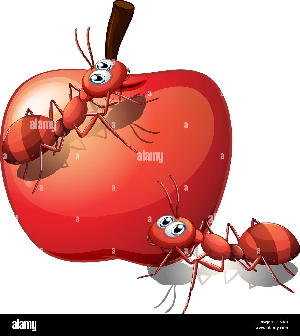 Ants eating apple hires stock photography and images Alamy