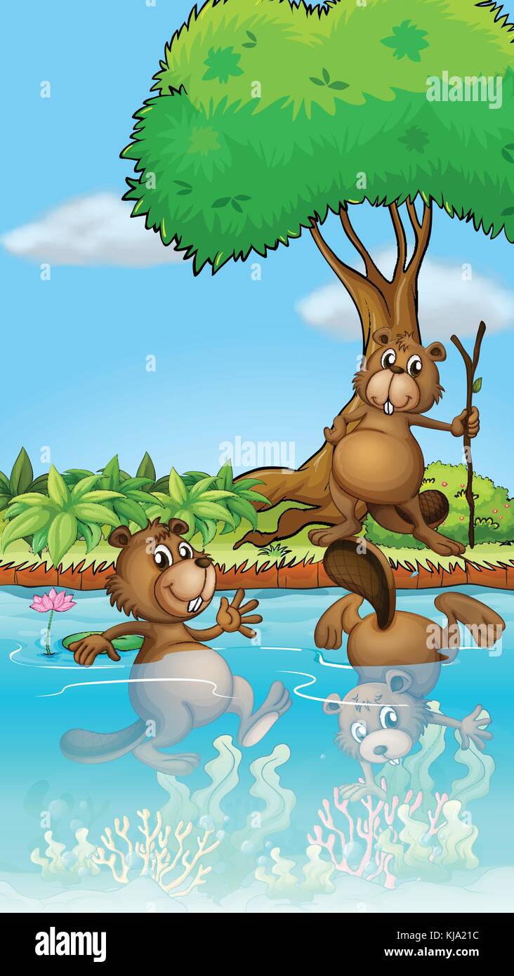 Illustration of three beavers playing at the river Stock Vector Image ...