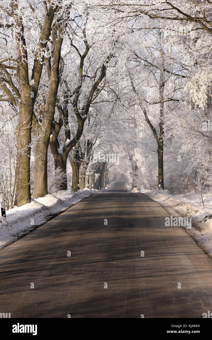 winterliche Fahrbahn Stock Photo