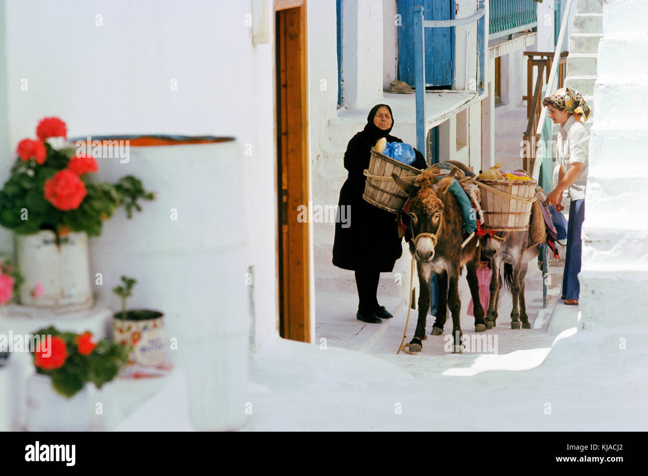 Mykonos Greece whitewashed  houses  and narrow shady streets.with elderly lady unloading the donkey from the market . Stock Photo