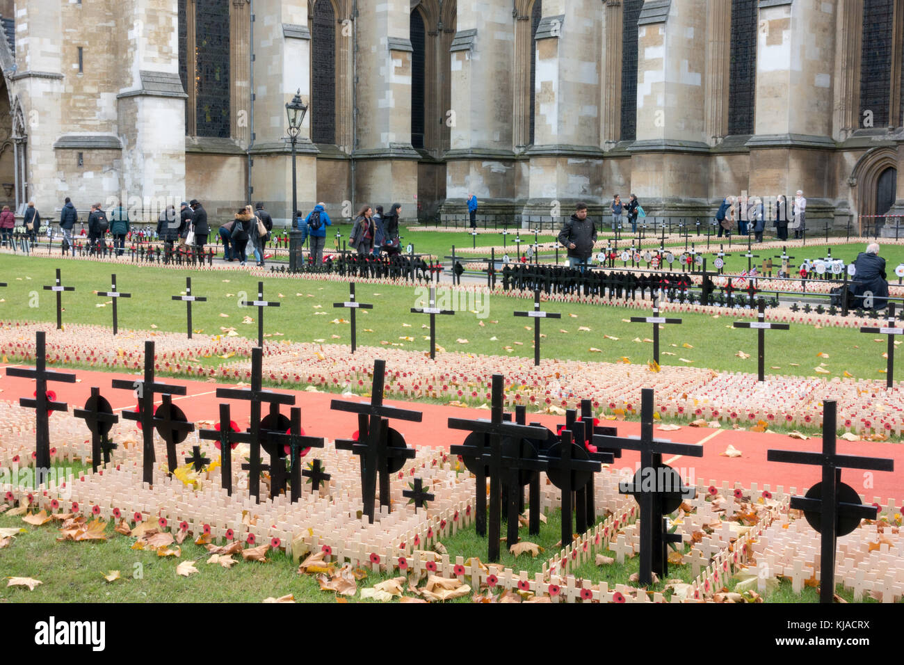 Field of Remembrance at Westminster Abbey, London Stock Photo Alamy