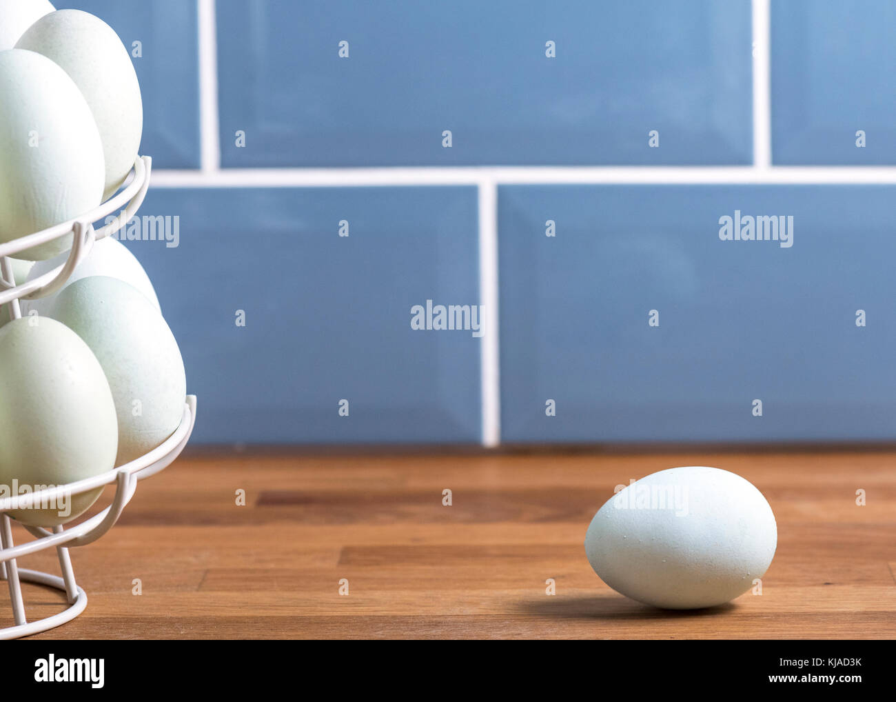selective focus of a single blue egg with a rack of eggs to the side on a wooden surface  that are laid by Legbar, Ameraucana,  Araucana and Easter ch Stock Photo