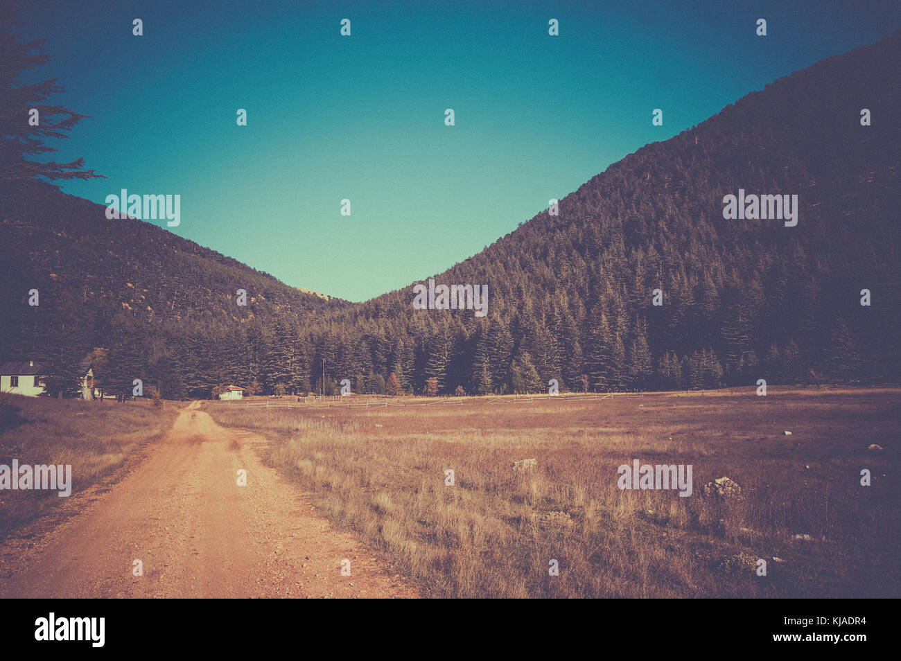 Highland plateau in cedar forest. Mountain way, Turkey, K zlar Sivrisinde Stock Photo