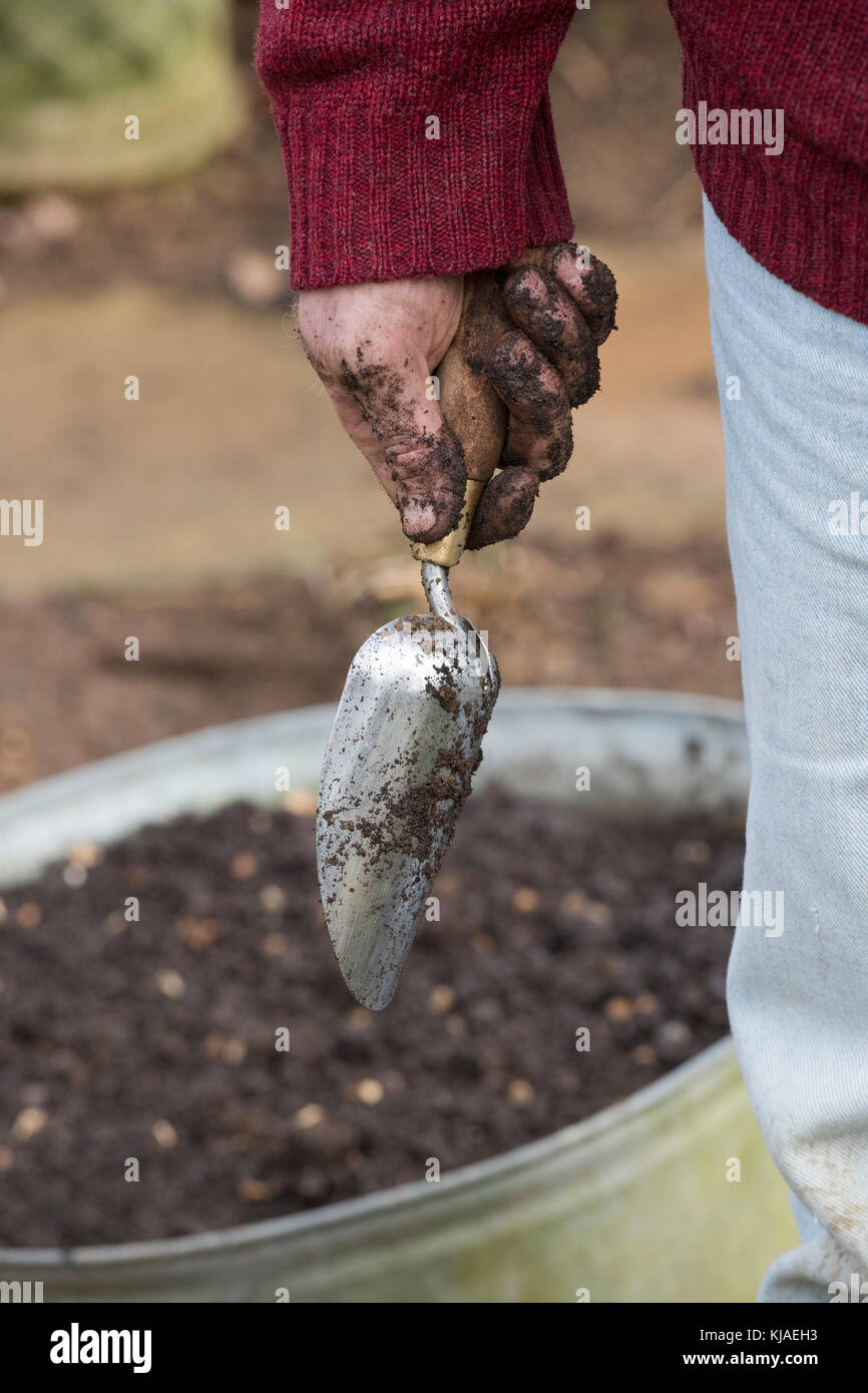 Gardeners hand holding a hand trowel. UK Stock Photo