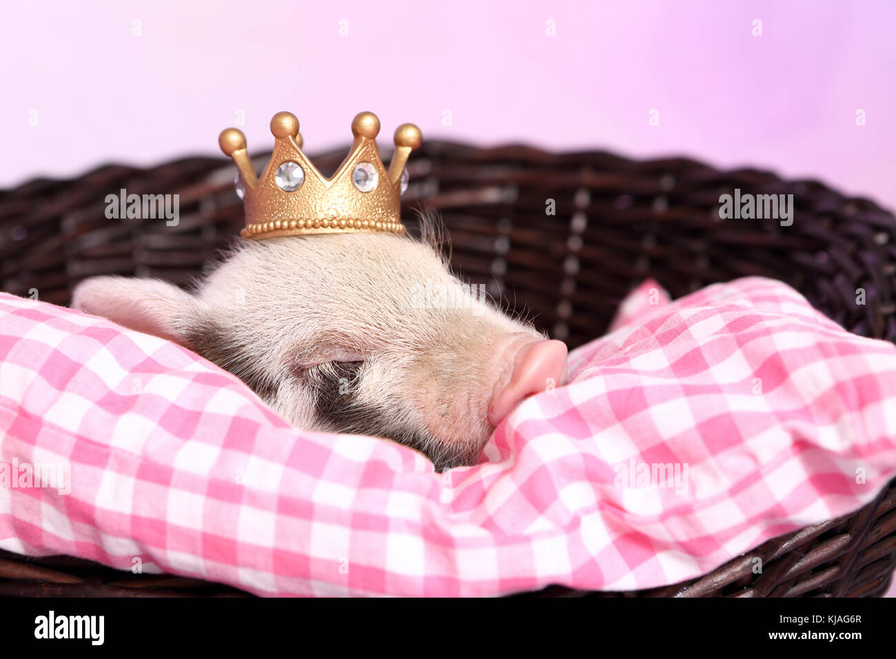 Pink piglet shop jewellery