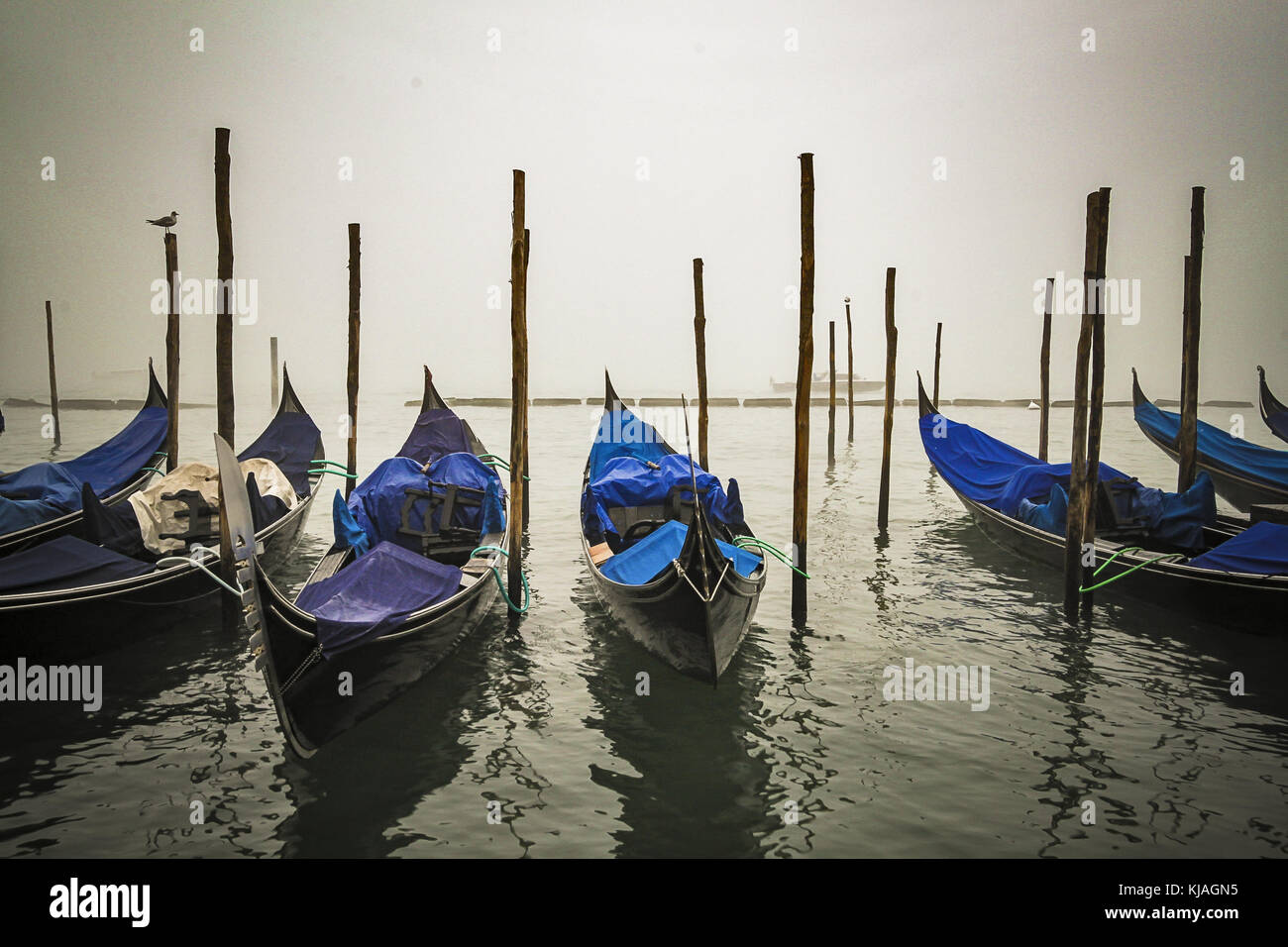 Gondolas of Venice Stock Photo - Alamy