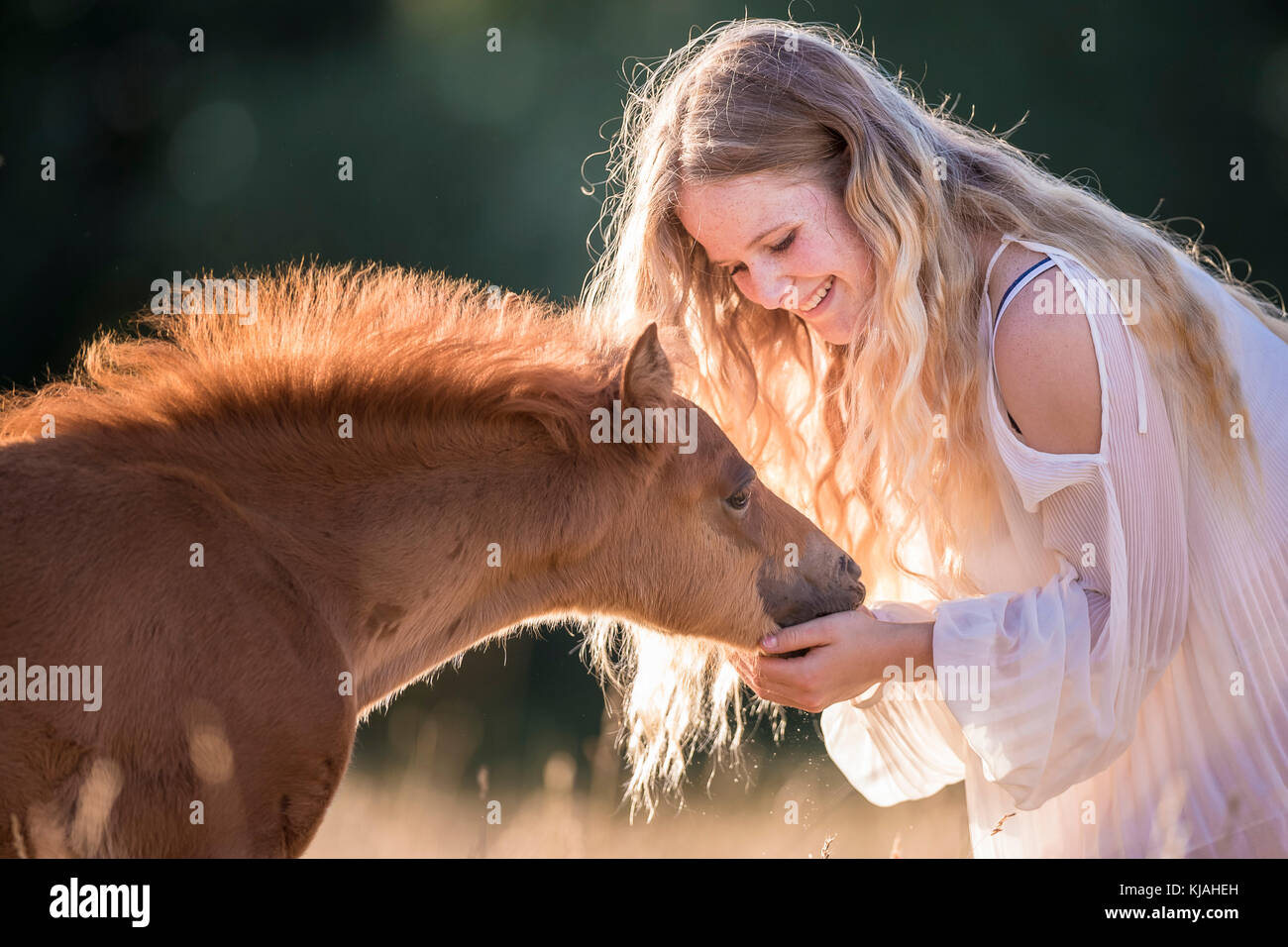 German Riding Pony. Girl smooching with chestnut filly-foal in evening light. Germany Stock Photo