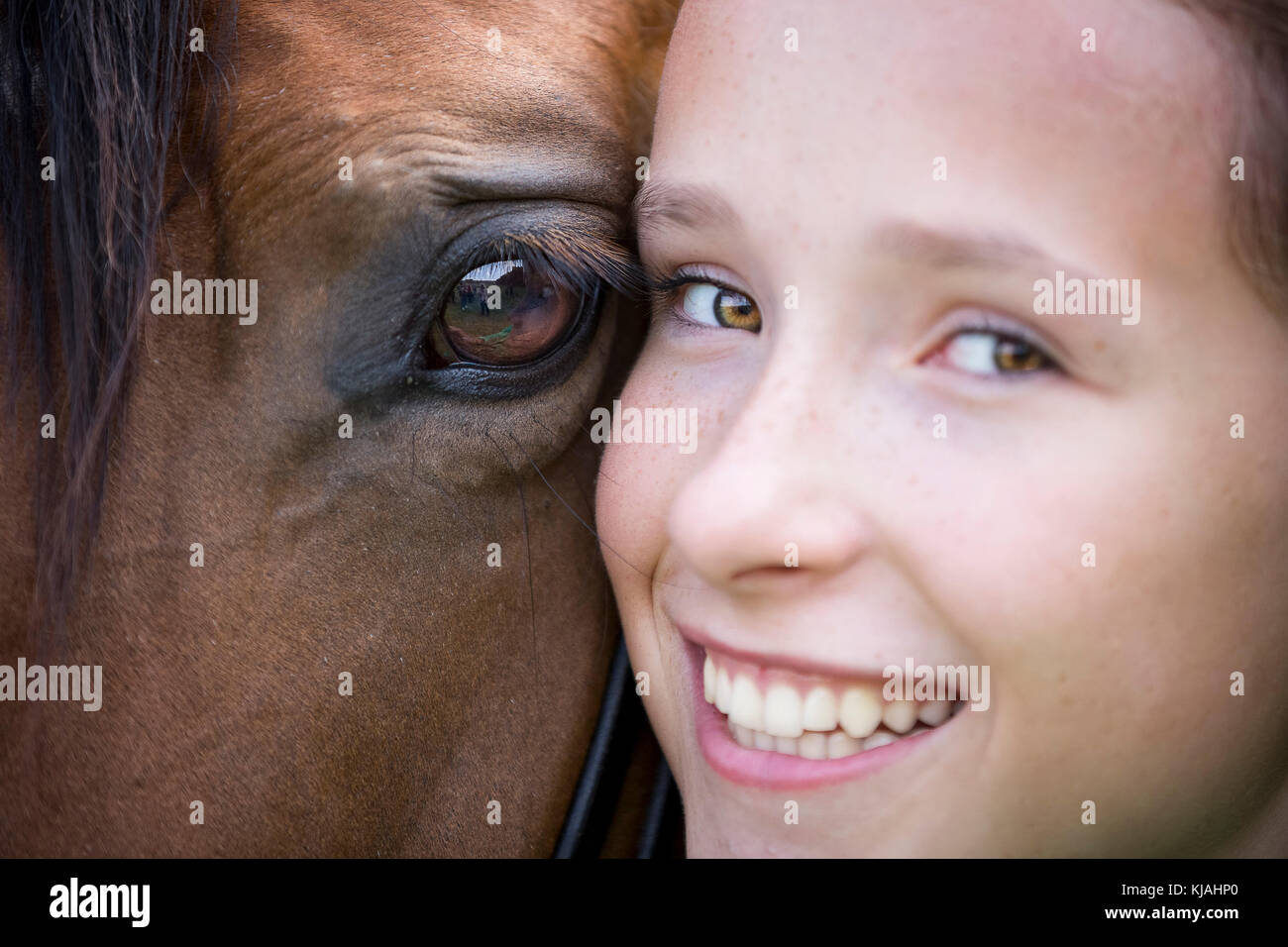 Trakehner. Girl cheek to cheek with bay mare. Germany Stock Photo