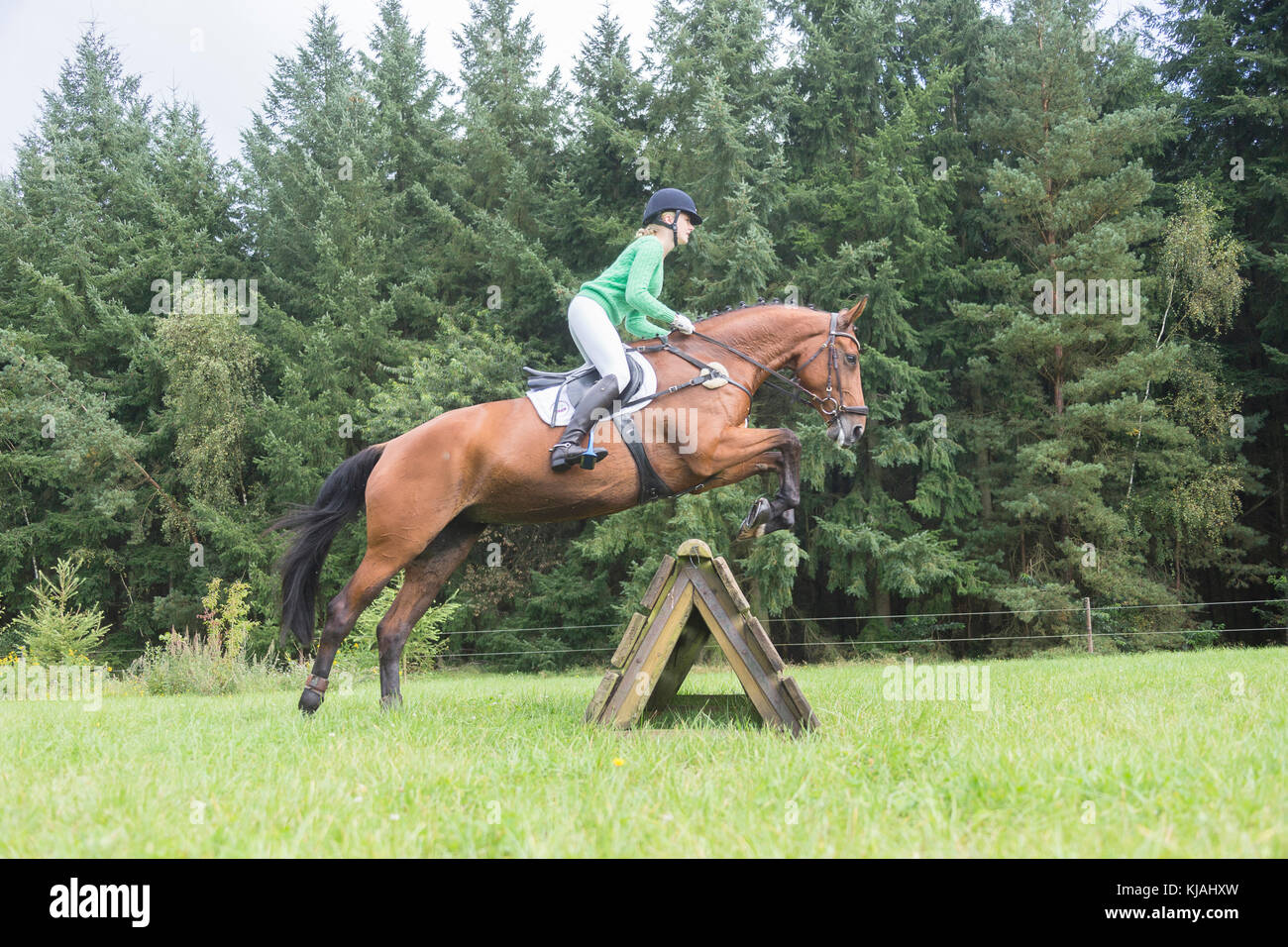 Hanoverian Horse. Rider clearing an obstacle during a cross-country ride. Germany Stock Photo