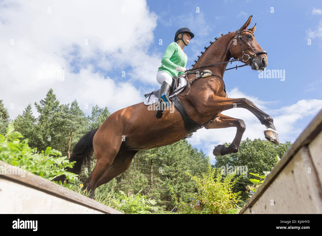 Hanoverian Horse. Rider clearing an obstacle during a cross-country ride, seen from below. Germany Stock Photo