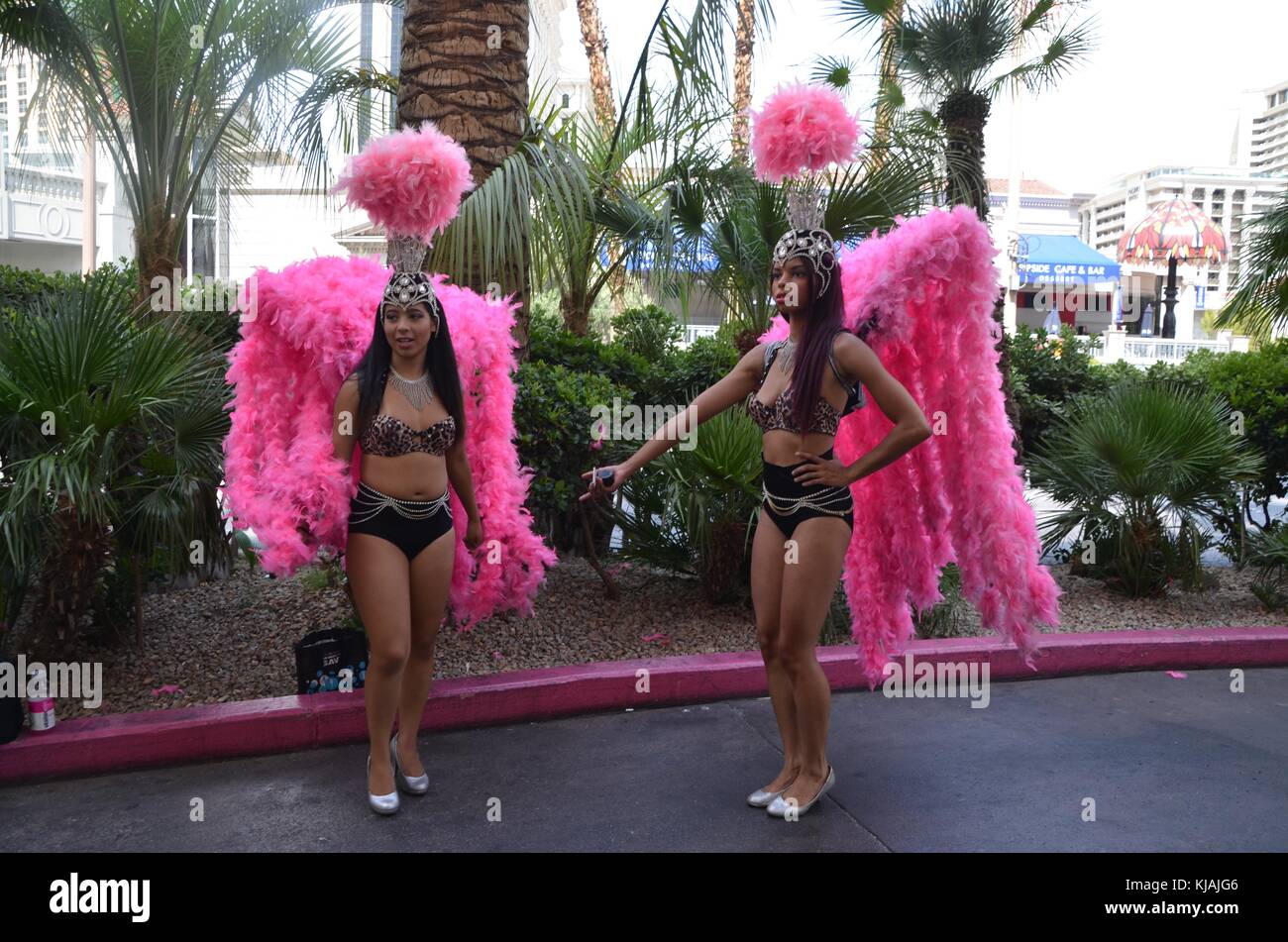 las vegas showgirls in pink feather boas and headresses on the strip nevada...