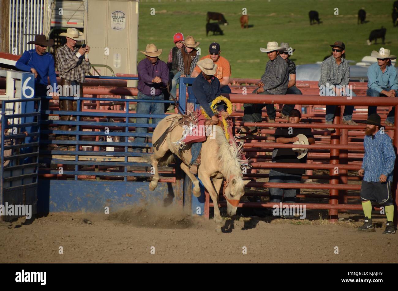 a horse comes out bucking at the red rider rodeo pagosa springs
