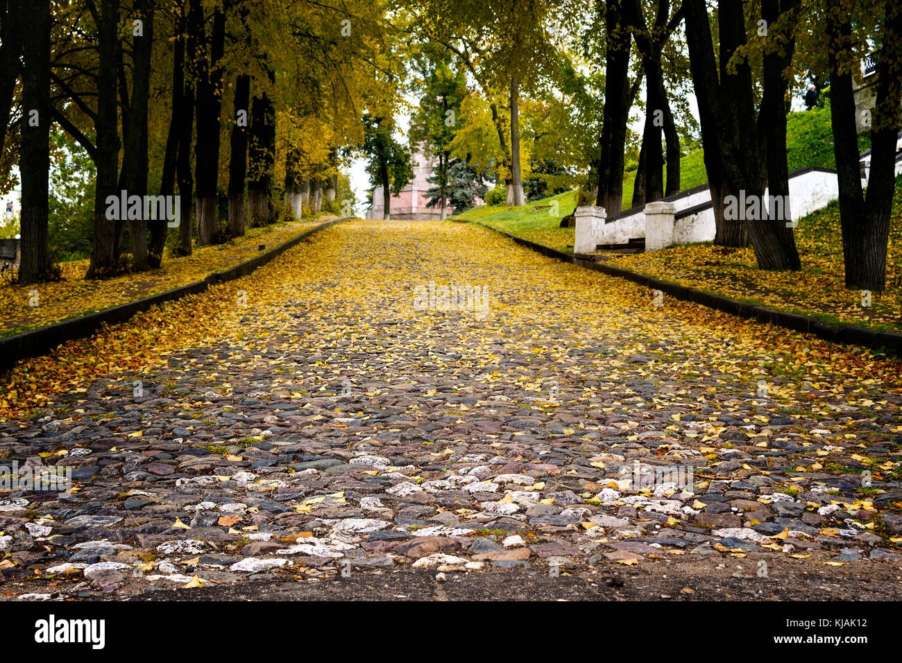 Cobblestone street covered with yellow fallen leaves Stock Photo - Alamy