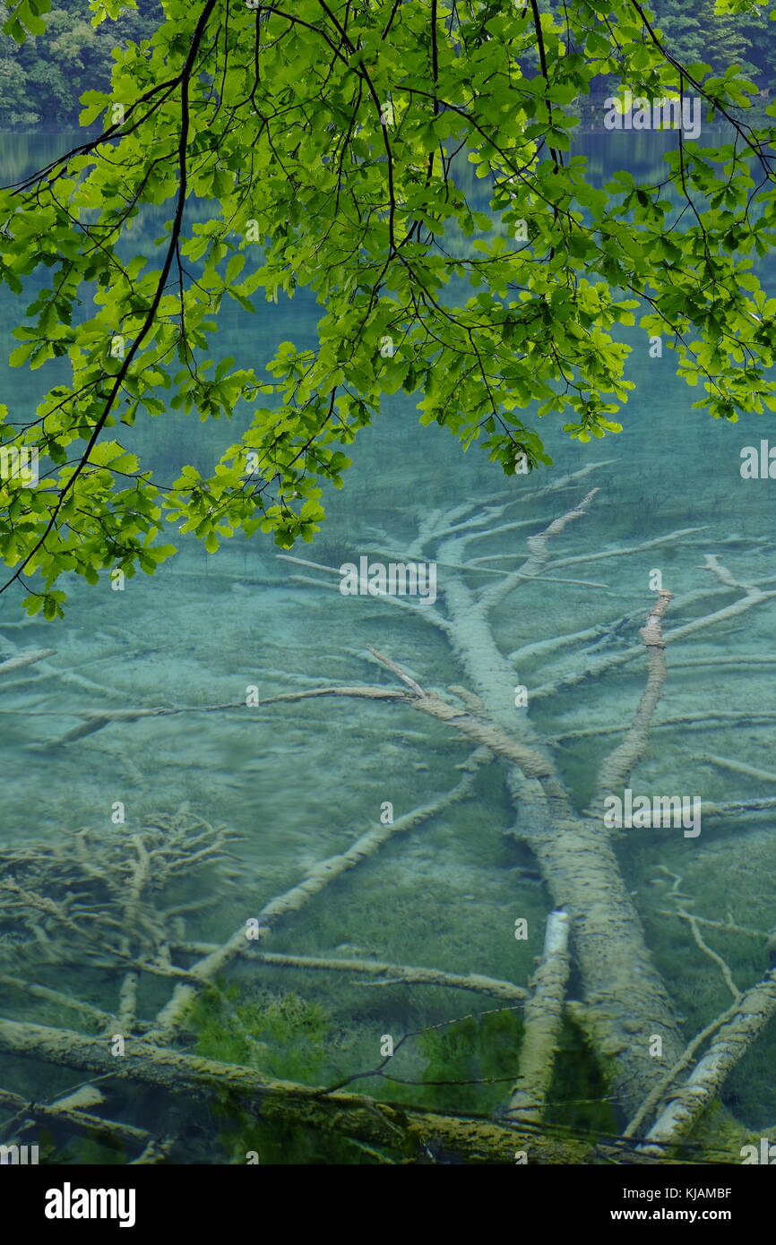 Mirror lake jiuzhaigou national hi-res stock photography and images - Alamy