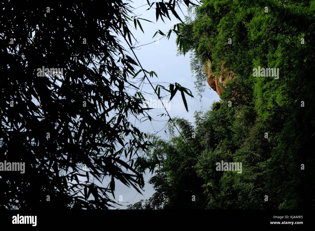 Steep walls of the Xianyu Cave scenic area at the Shunan Bamboo (Shunan Zhuhai) Forest in Sichuan province at China Stock Photo