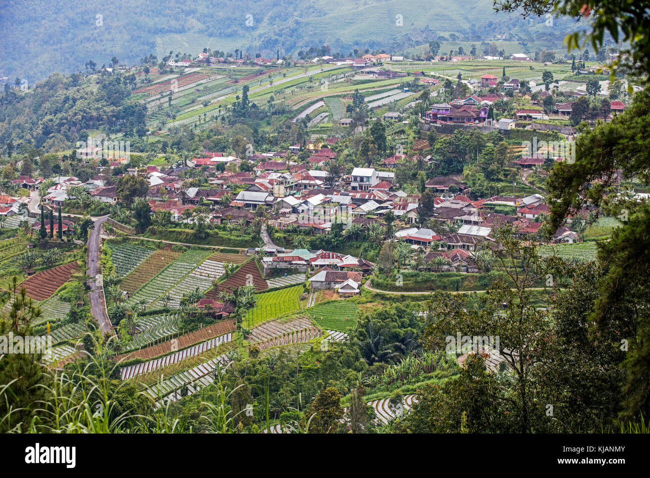 Village surrounded by terraced onion fields on the slopes of Mount Lawu / Gunung Lawu near Solo / Surakarta, Central Java, Indonesia Stock Photo
